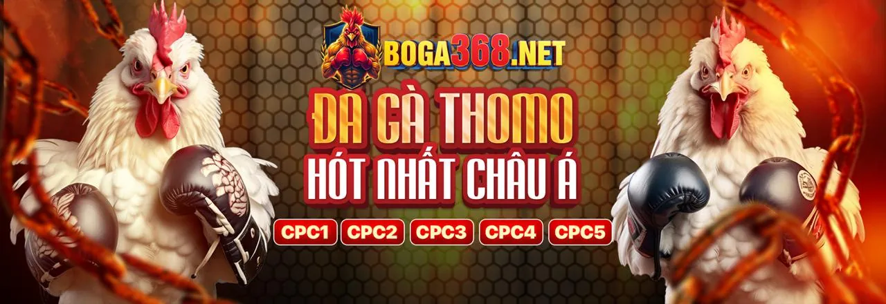 Sân đấu đá gà trực tuyến pg66 win
